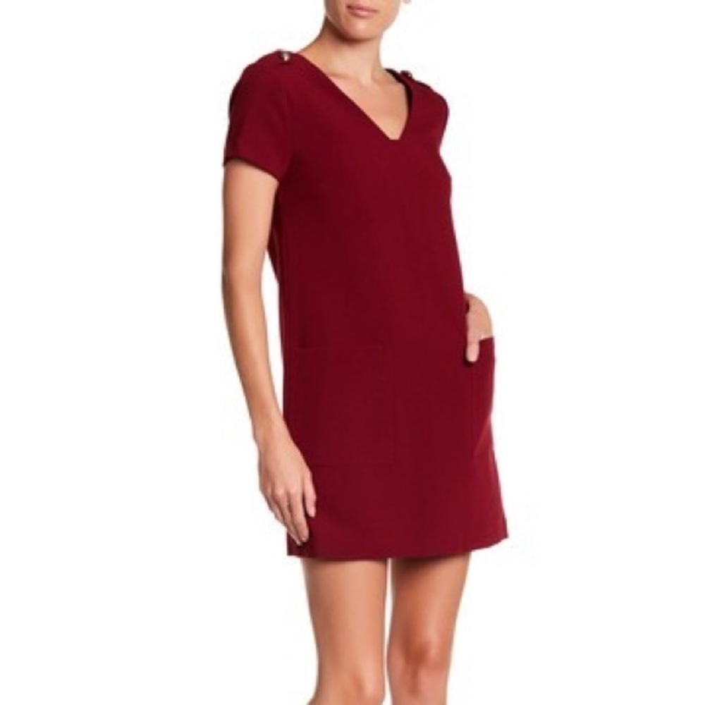 1. State Burgundy V-Neck Mini Dress
